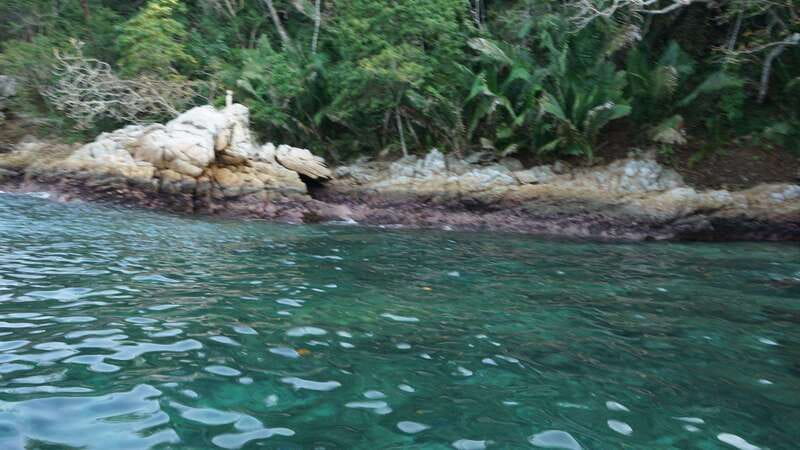 Yelapa: Catamaran Cruise with Lunch and Open Bar - Who Should Book This Catamaran Day?