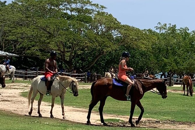 Zipline, Horseback Ride, ATV and Catamaran from Montego Bay - Ziplining through Jamaica’s wooded interior